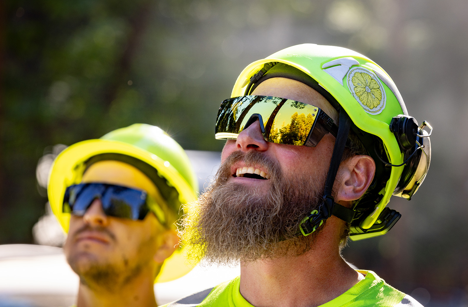 Tree crew